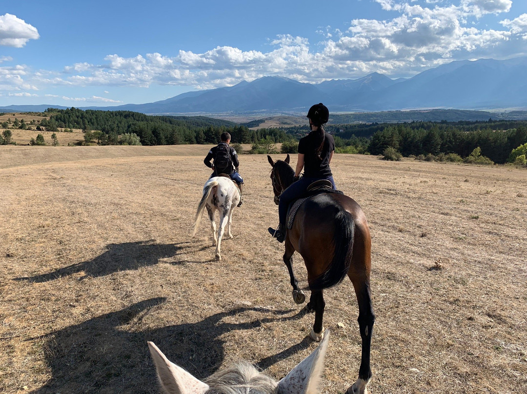 Rusaliite Adventure House主图