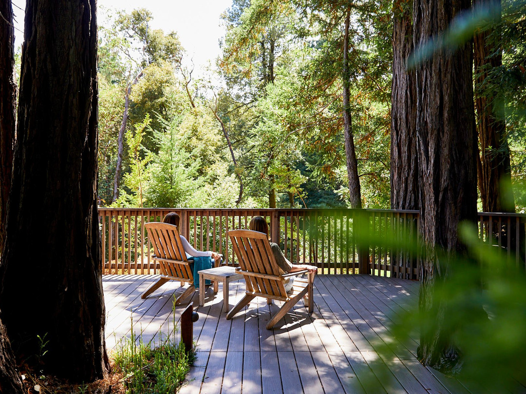 Canyon Ranch Woodside主图