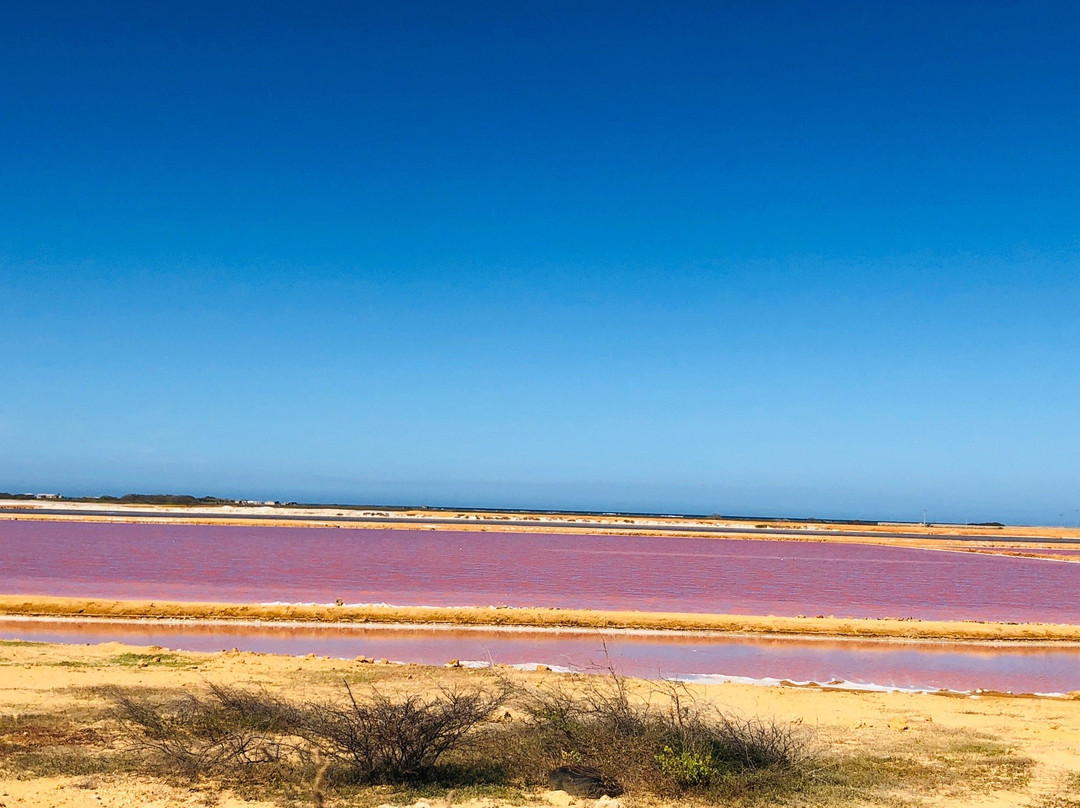 Salinas de Cumaragua景点图片