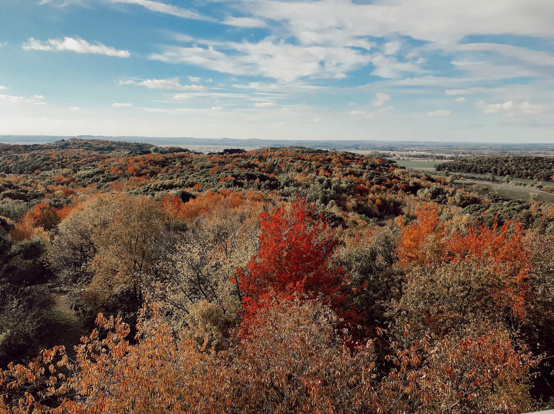 Hoffman Hills State Recreation Area景点图片