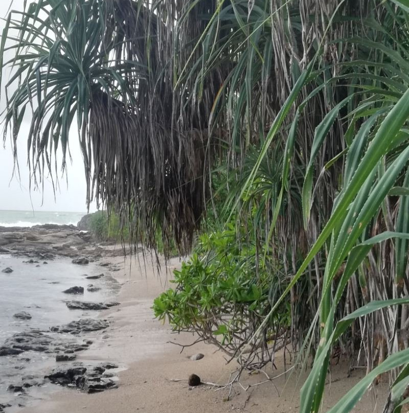 Turtles View Resort主图