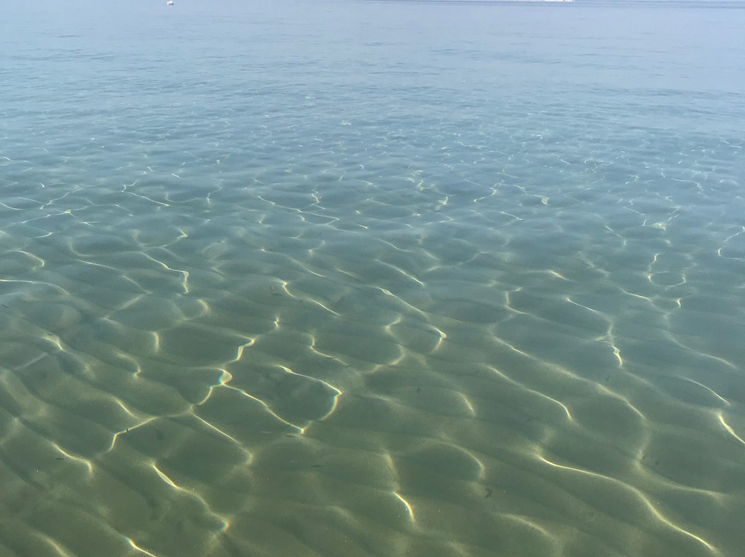 Tarsanas Luxurious Studios & Suites主图