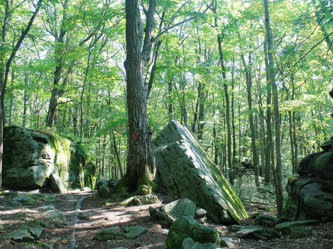 Clarington旅游景点-Clear Creek State Park