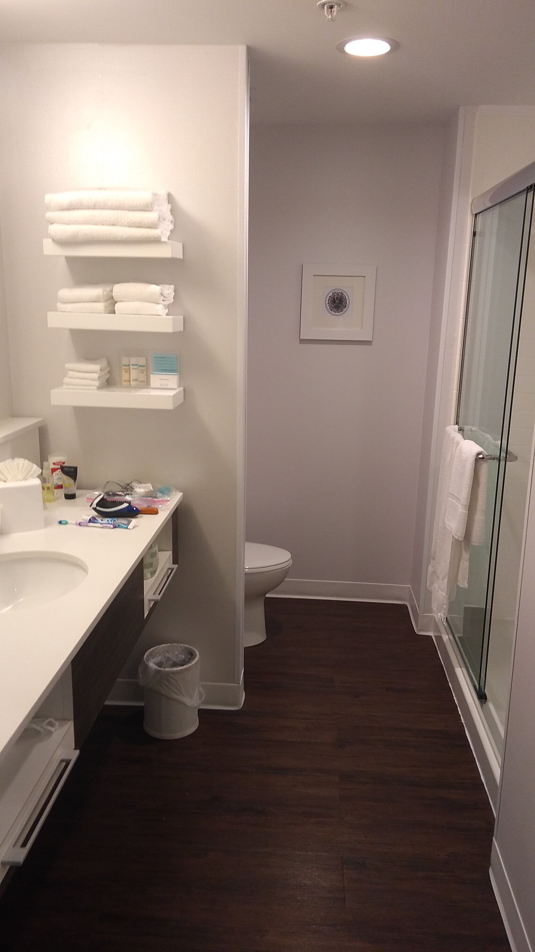 Hampton Inn & Suites Chicago/schaumburg-浴室