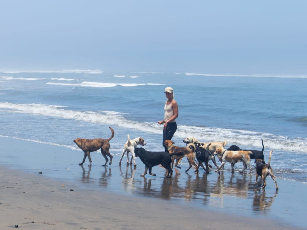 Huanchaco旅游景点-Huanchaco Al Rescate
