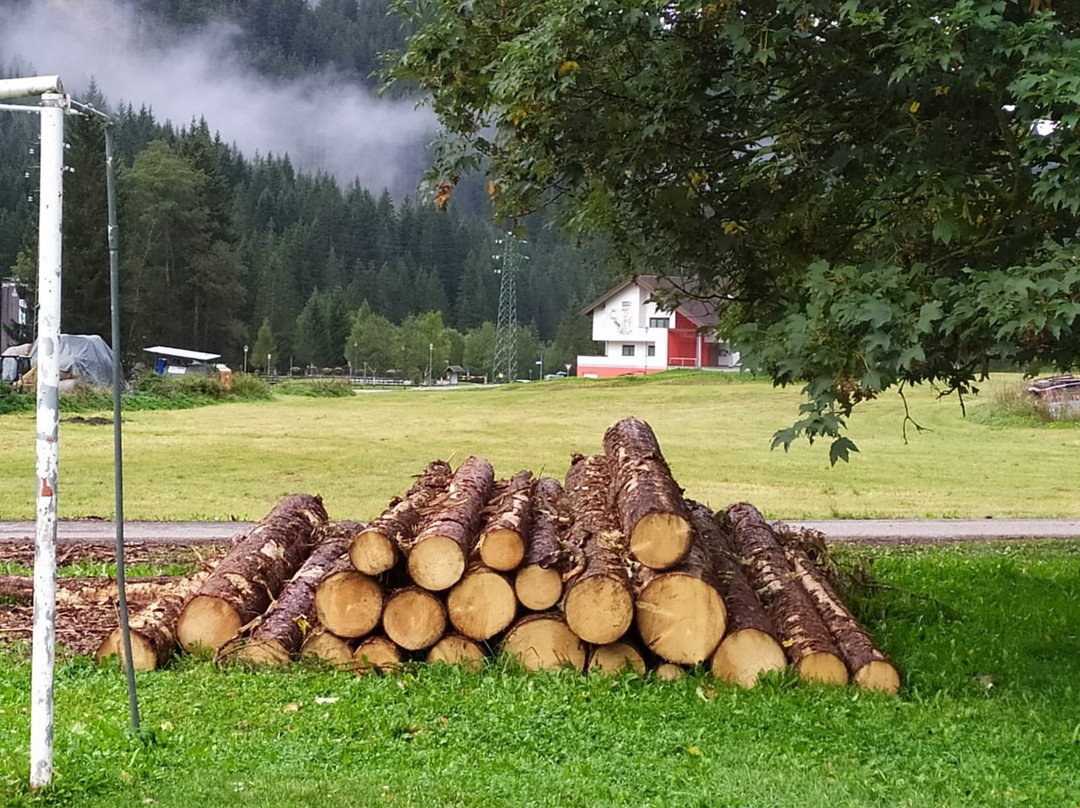 Soggiorno Dolomiti主图