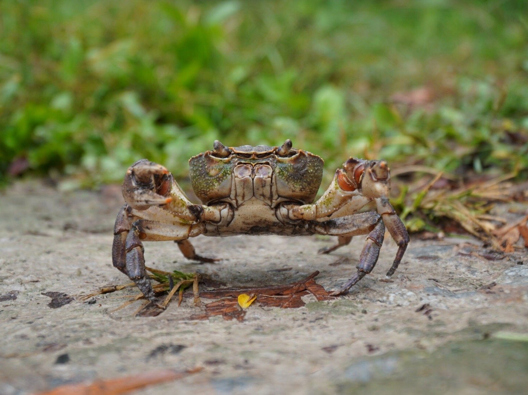 Olympic Star Beach Hotel主图