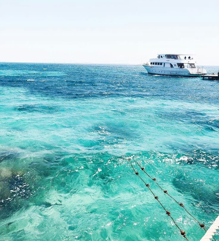 Roof Root Travel Services-赫尔格达必去景点