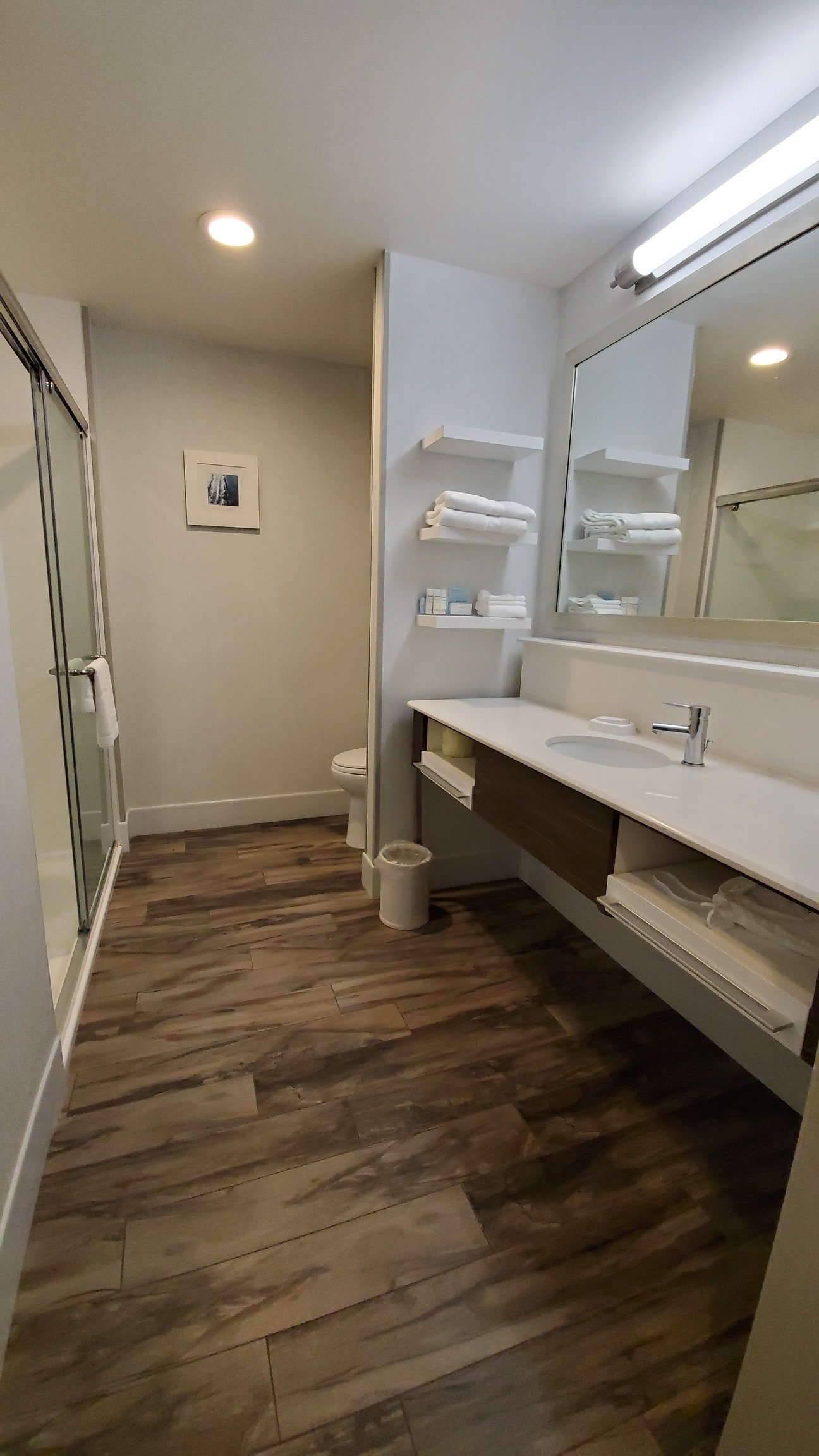 Hampton Inn & Suites Olympia/lacey-浴室