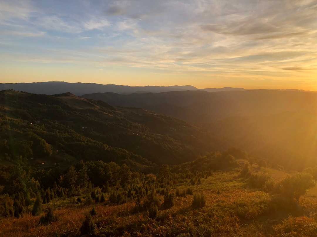 Serbian Private Tours-贝尔格莱德必去景点