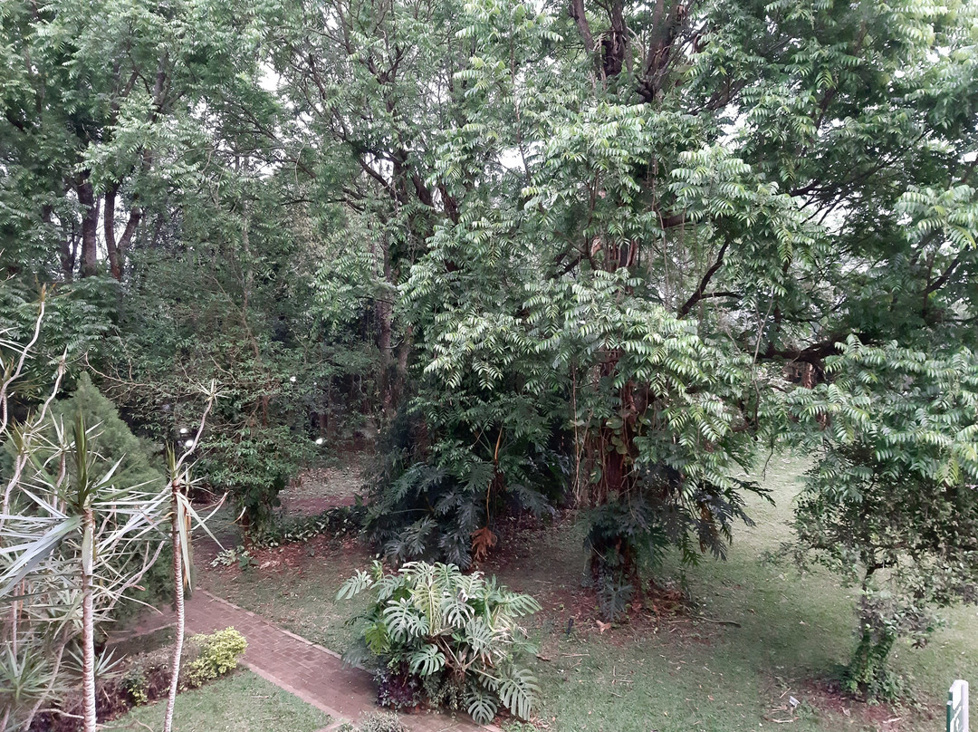 Hotel Che Roga主图