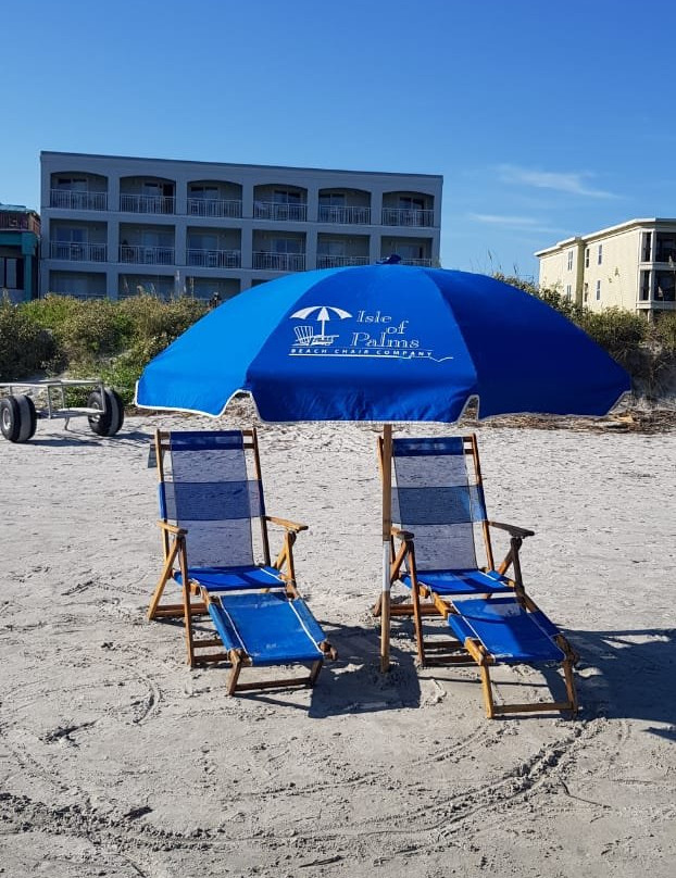 棕榈林海滨酒店主图