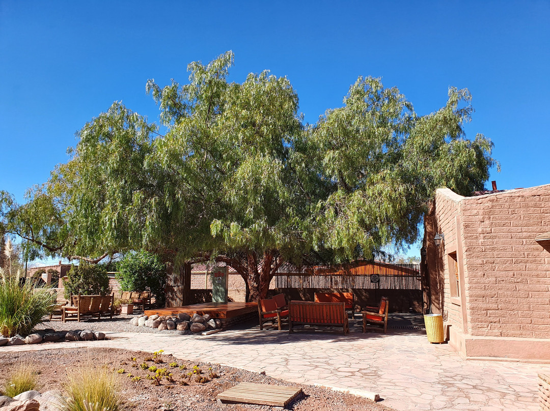 La Casa De Don Tomas主图