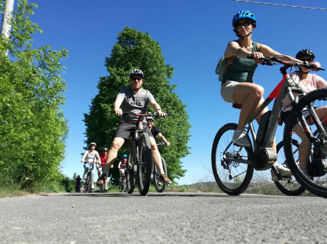 InLanga Tours-阿尔巴必去景点