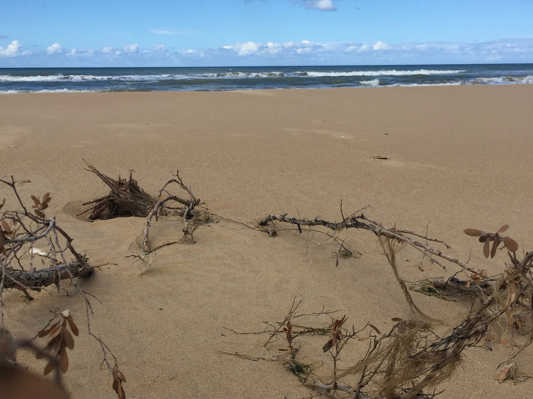 Reeeves Beach-Woodside必去景点