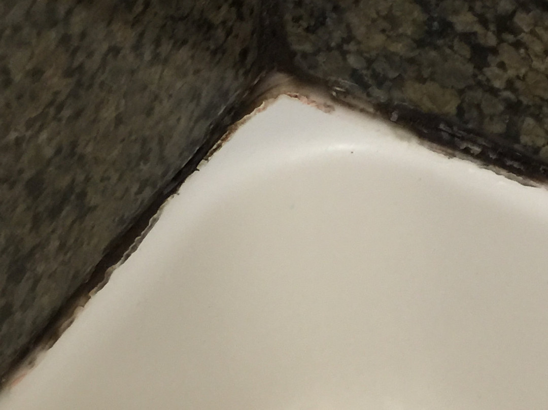 密尔沃基机场南驻桥套房酒店主图