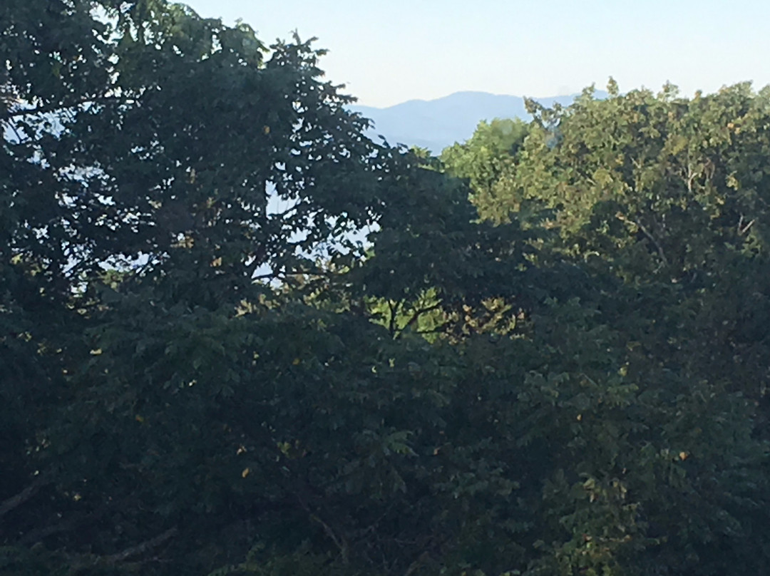 Blind Tiger Burlington主图