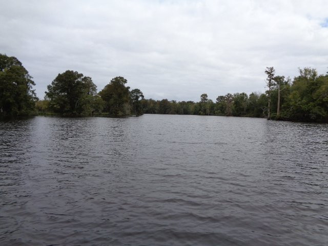 North Carolina Estuarium景点图片