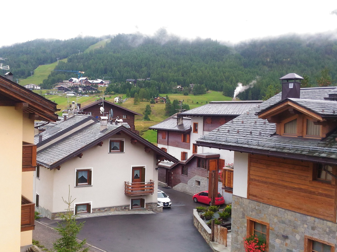 Hotel Le Alpi主图