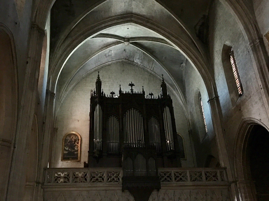Collegiale Saint-Didier景点图片