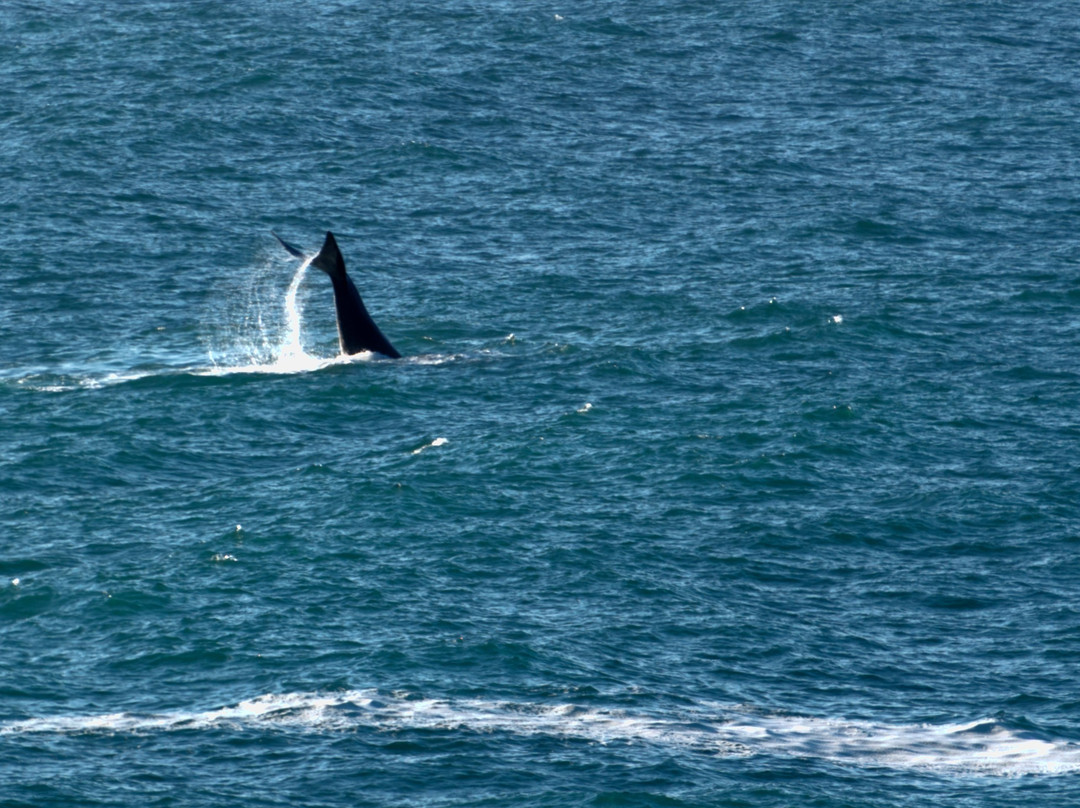 Gareth Newton-De Kelders必去景点