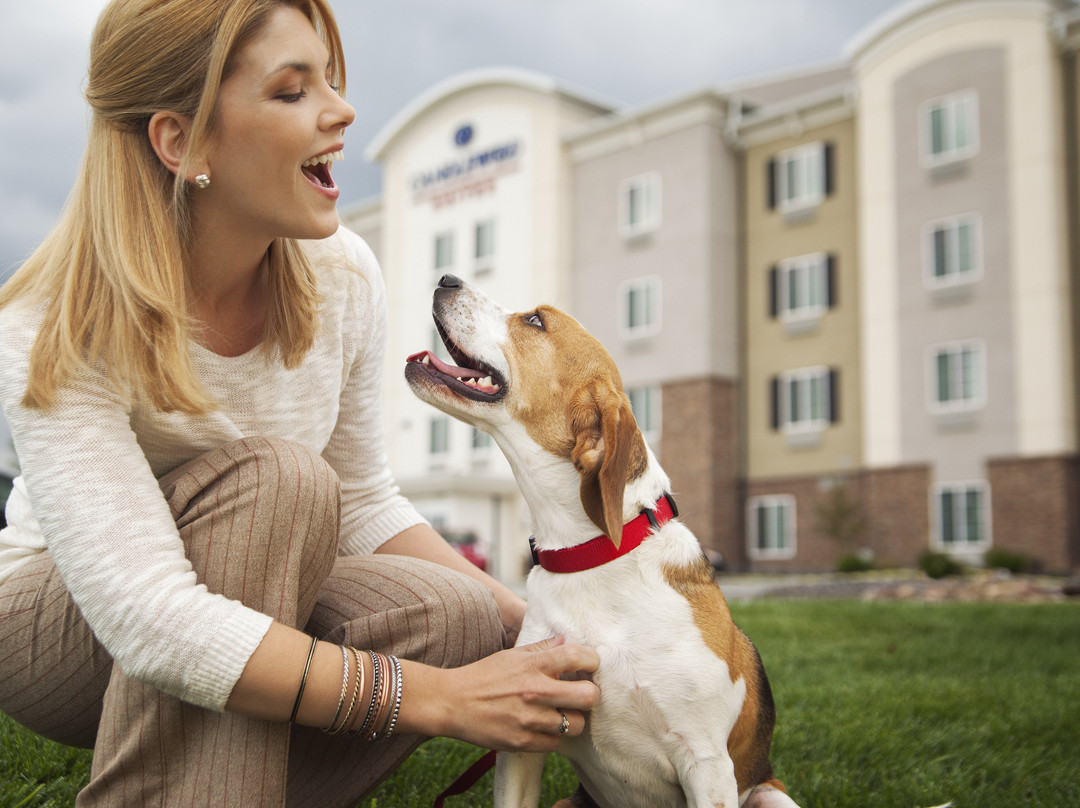 Candlewood Suites Nashville North By IHG主图