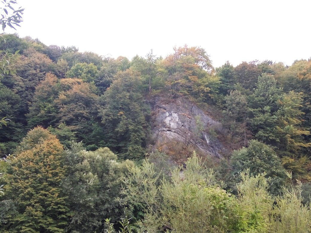 Carpathian Biosphere Reserve景点图片