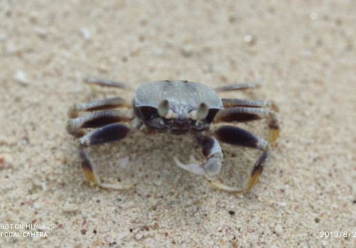 Catamaran Ramayana-芭堤雅必去景点