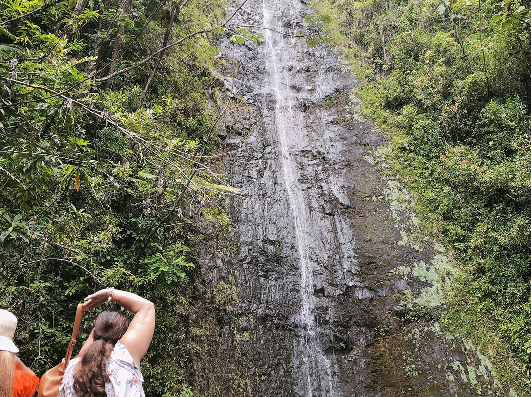 玛诺亚瀑布景点图片
