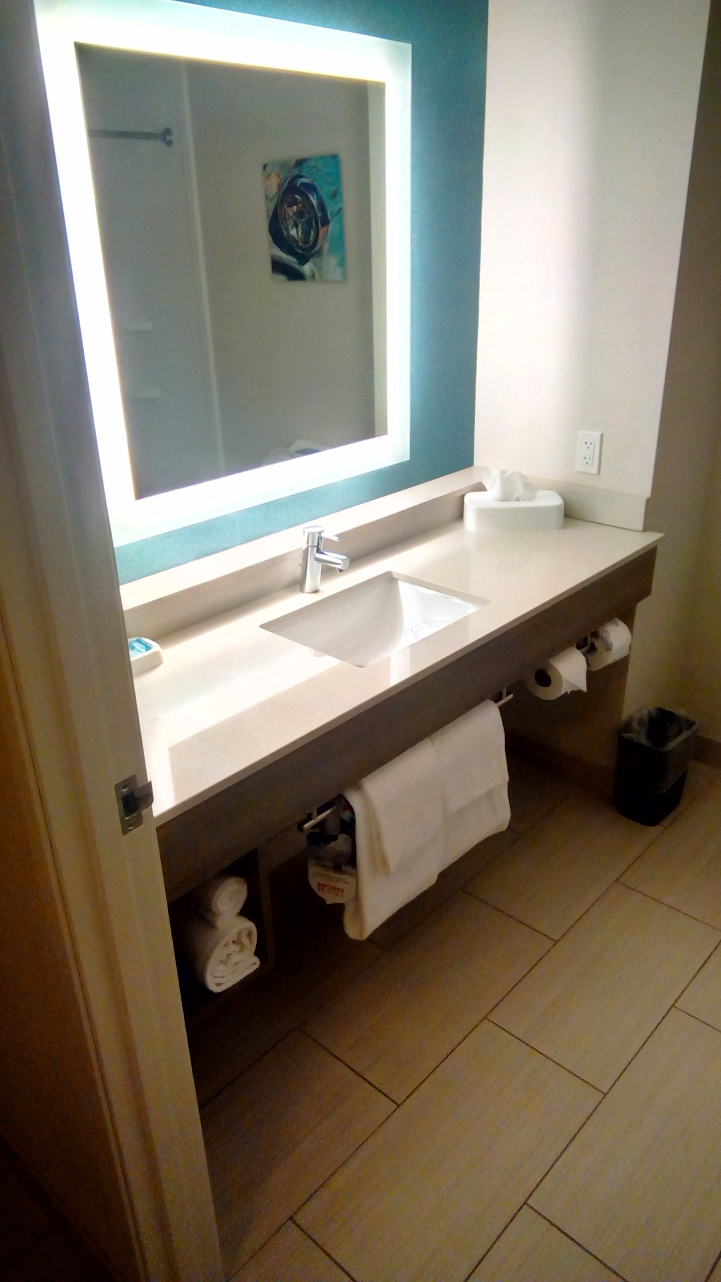 Holiday Inn Express & Suites Litchfield West By IHG-浴室
