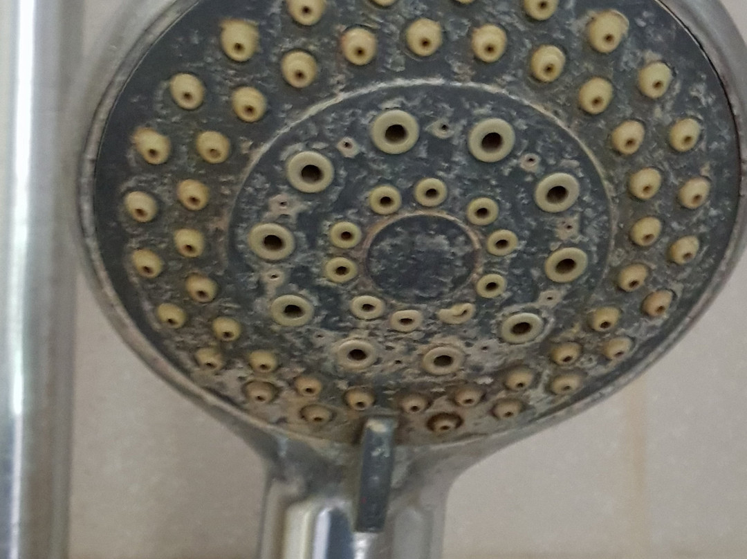 Lemo Hotel Serpong主图