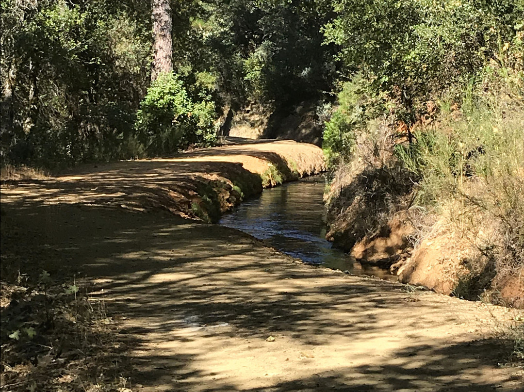 Deer Creek Tribute Trail-Nevada City必去景点
