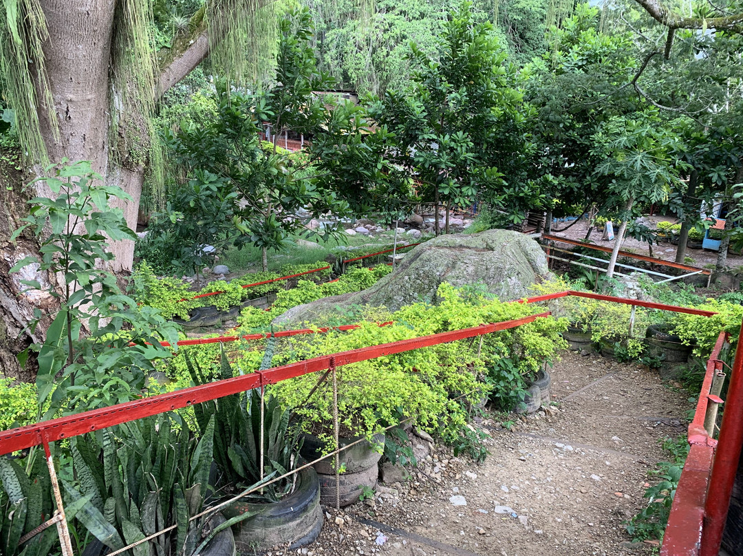 Finca Hostal La Danta主图