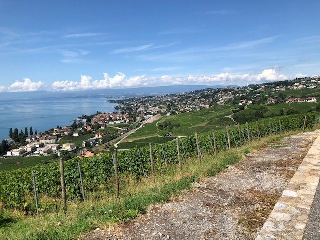 Domaine du Daley-吕特里必去景点