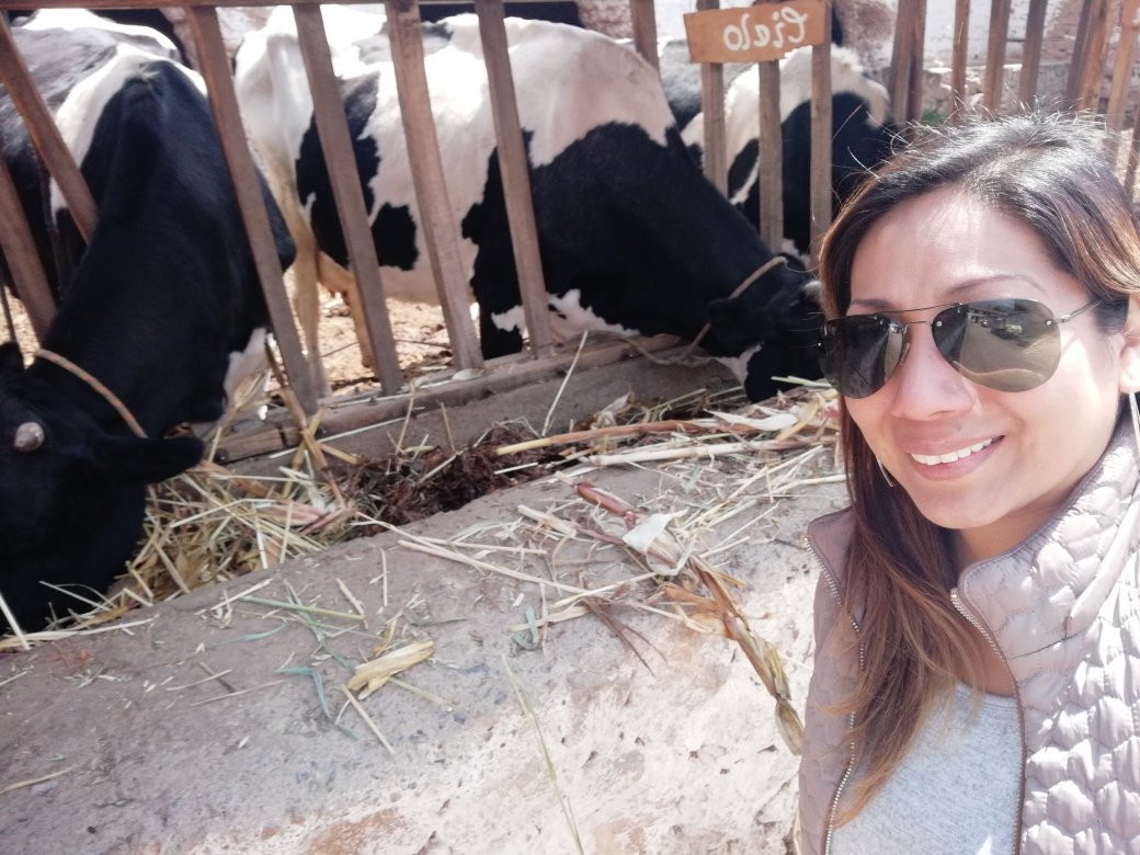 Hospedaje Ecologico Hacienda La Florida主图