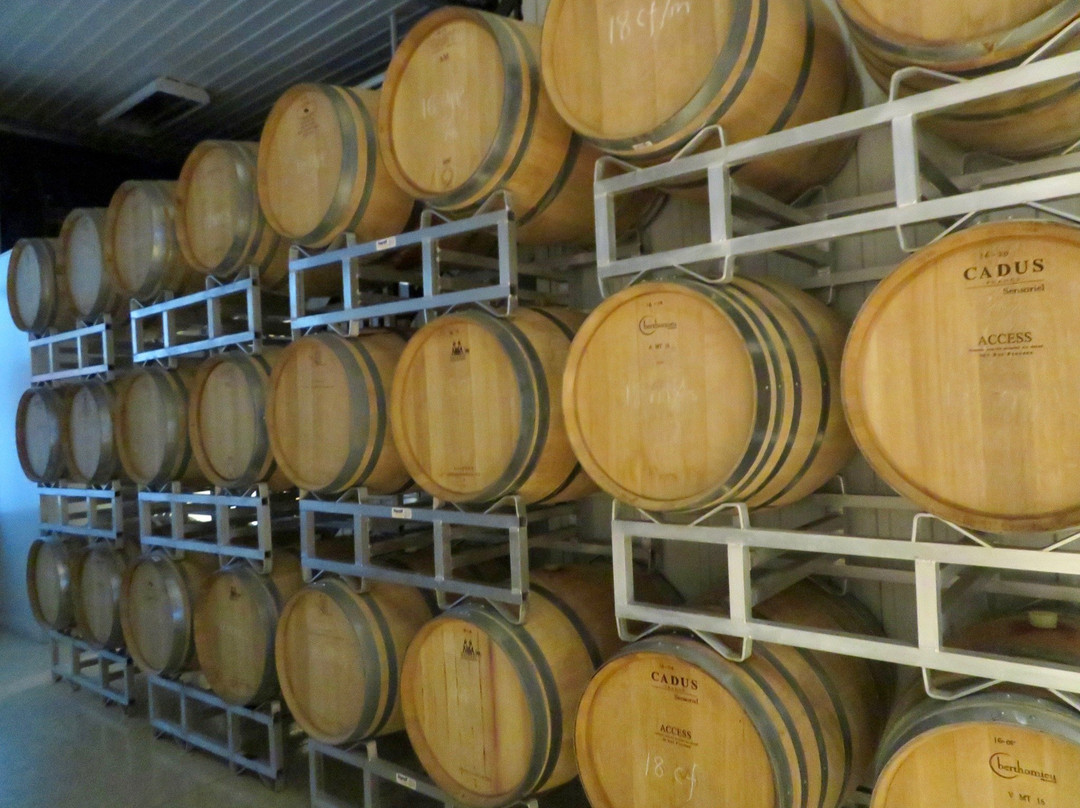 Hinterbrook Winery-滨湖尼亚加拉必去景点