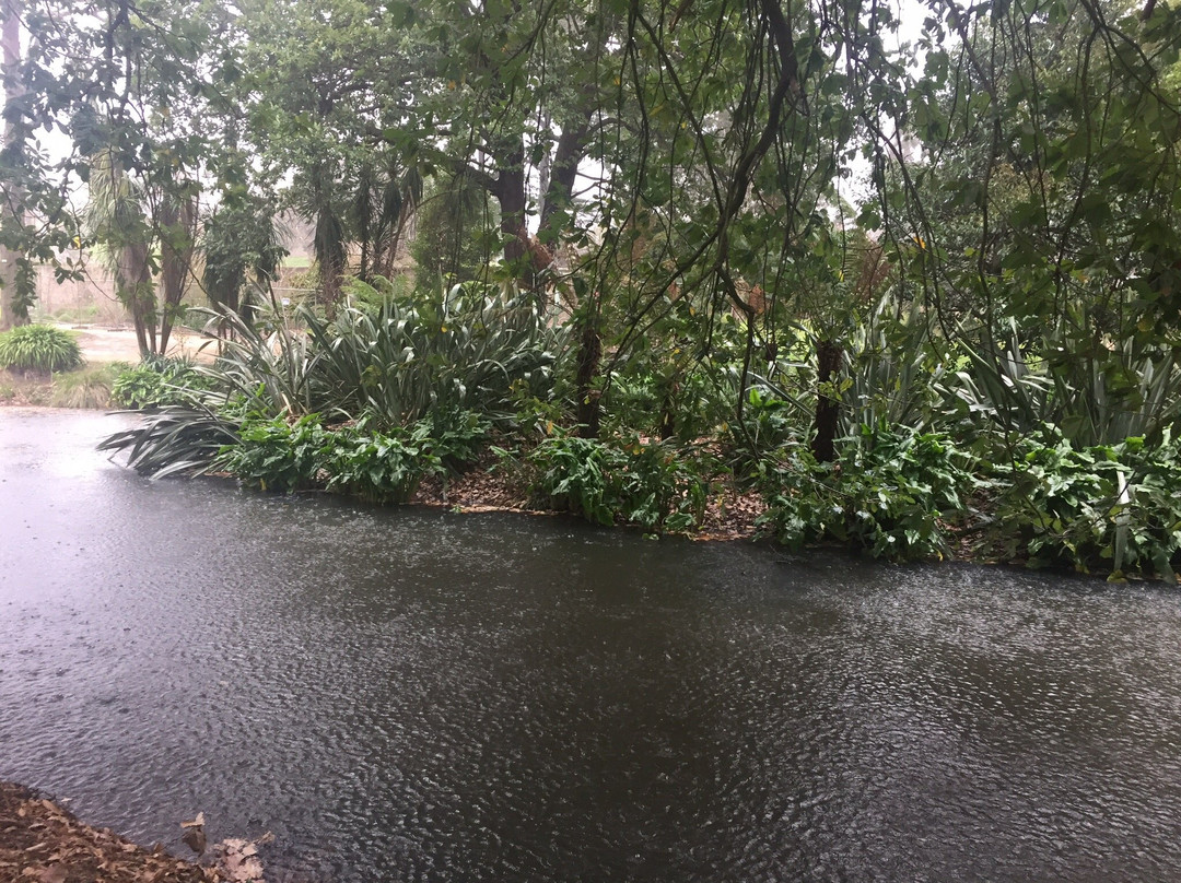 Buninyong Botanic Gardens-Buninyong必去景点