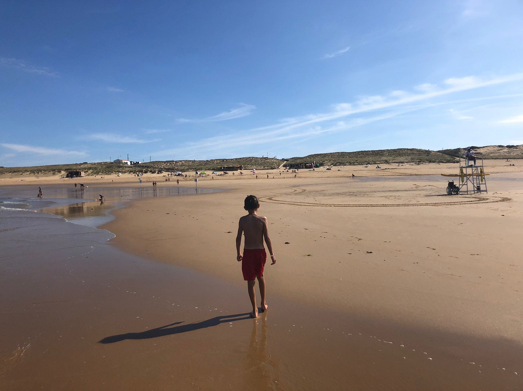 Plage de la Terrière景点图片