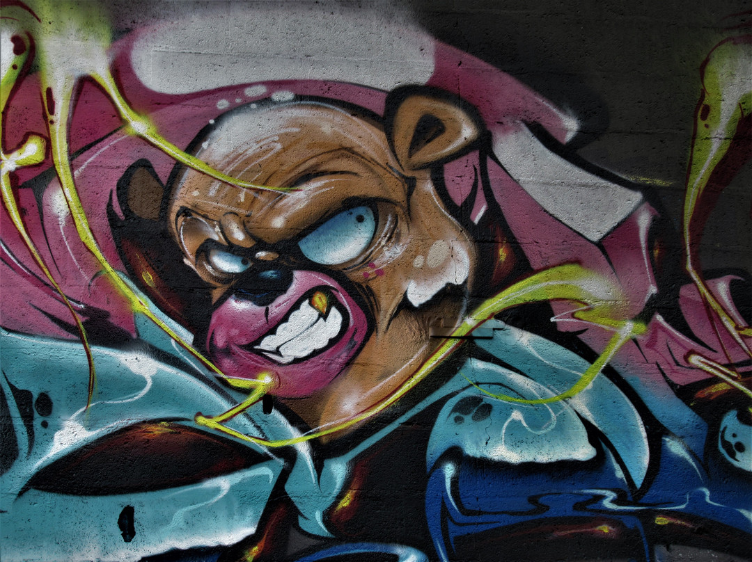 Fresque "Skateboardeuse"-欧贝维利耶必去景点