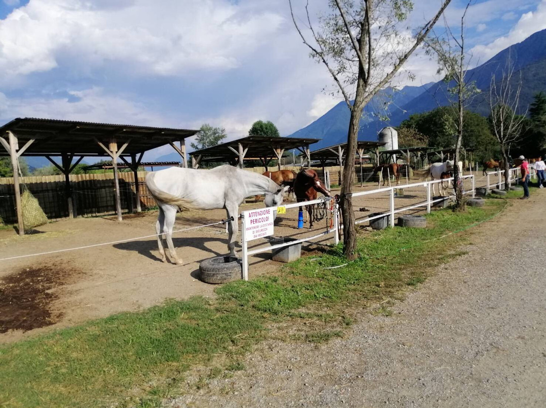 Ranch El Picadero-科利科必去景点