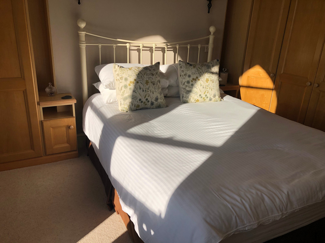 Cove House Bed and Breakfast主图