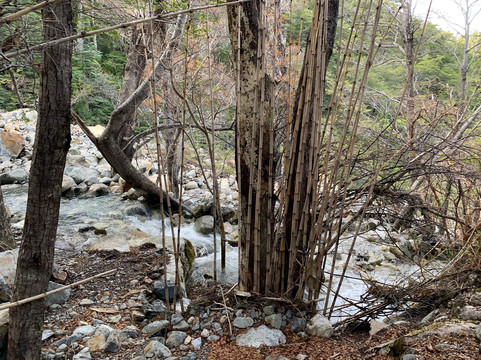 Glaxiar Mountain & Adventure Co.-Esquel必去景点