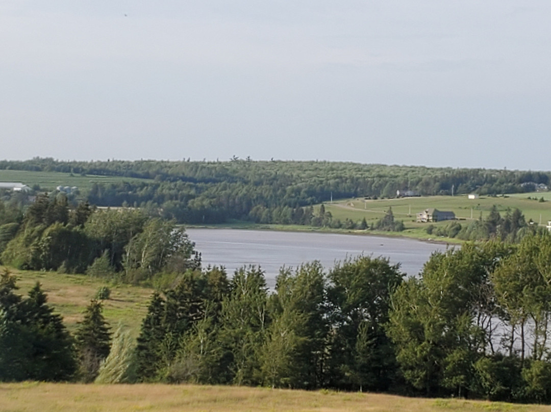 Firedance Country Inn Bed and Breakfast主图