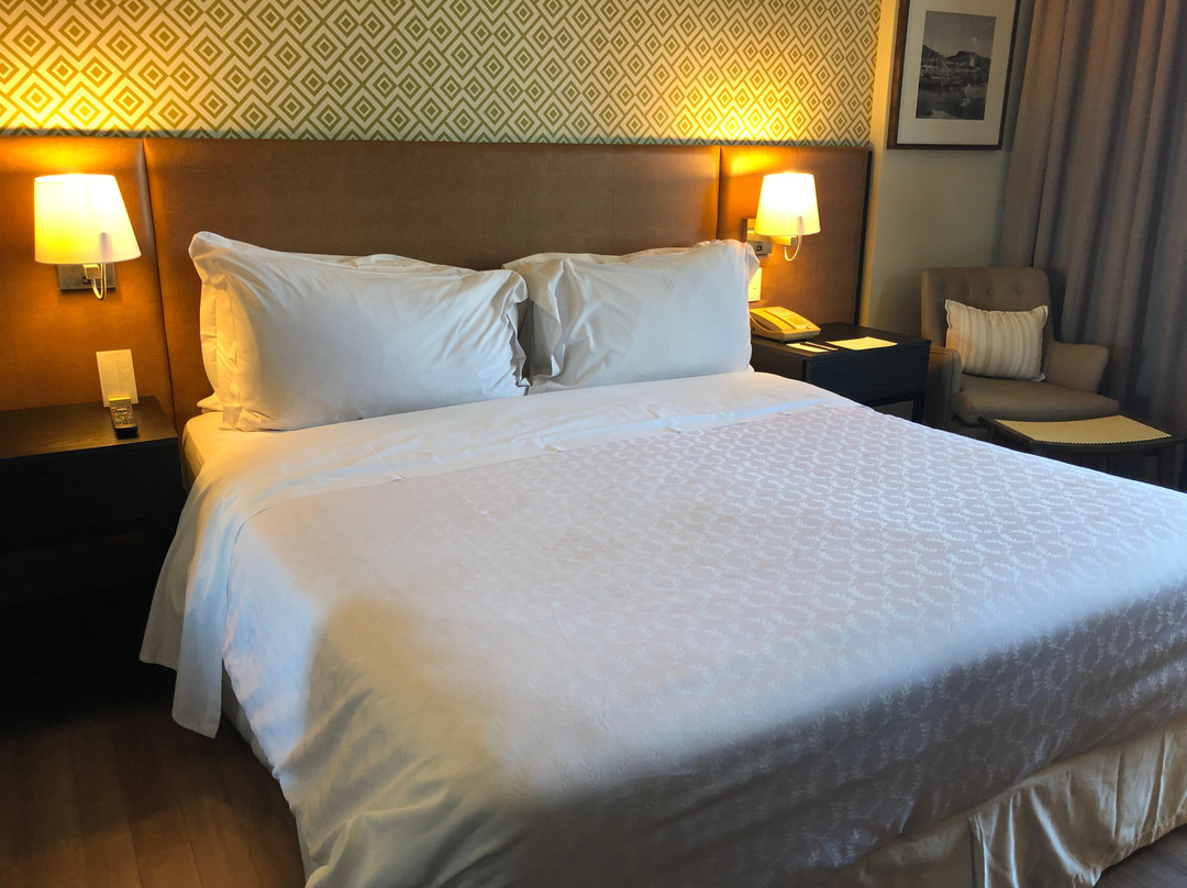 达巴伊亚喜来登酒店主图