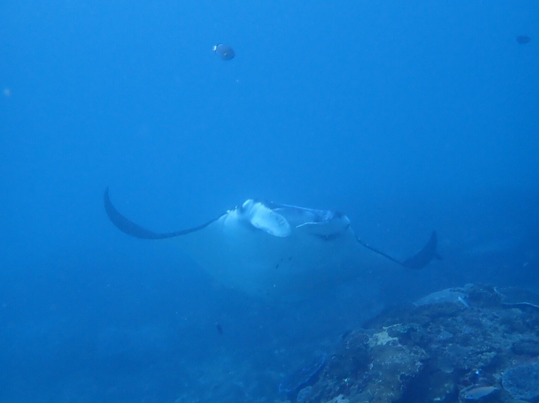 Bali Scuba景点图片