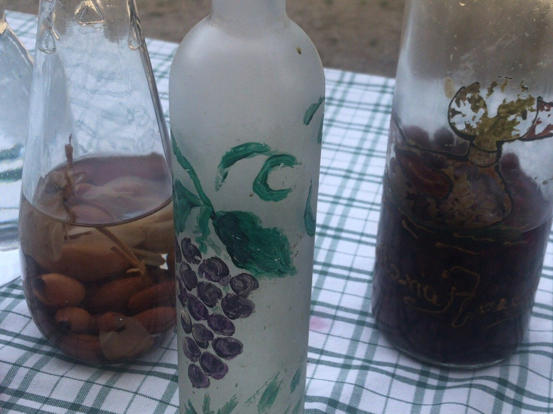 Agriturismo Fattoria Roccolo主图