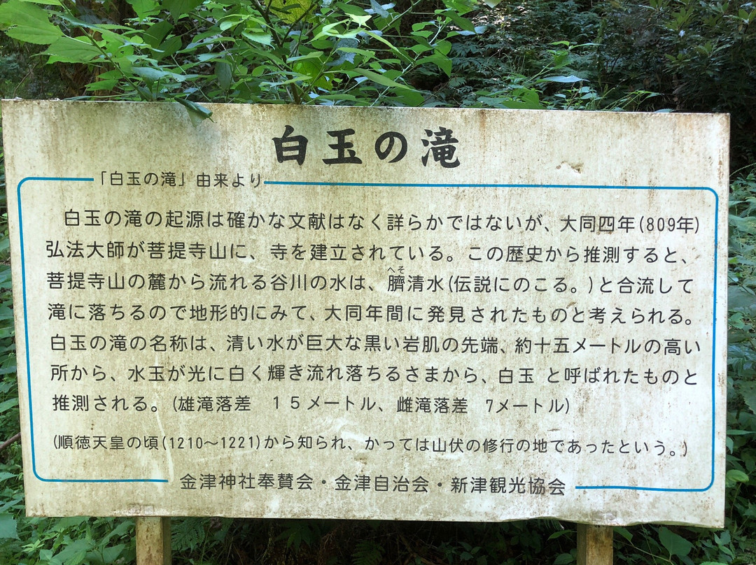 Shiratama Falls-新泻市必去景点