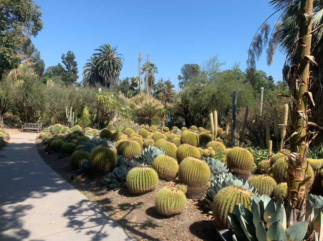 The Huntington Desert Garden-圣玛利诺必去景点