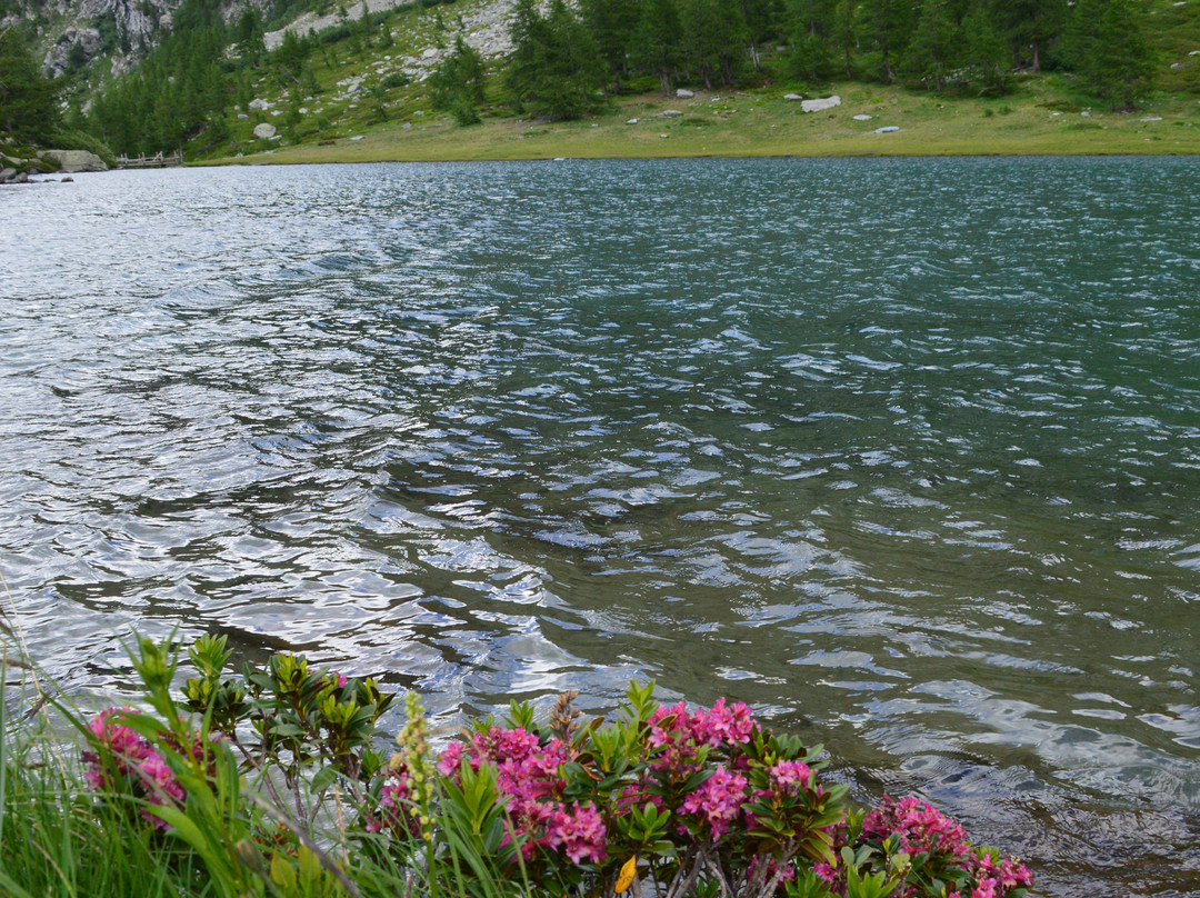 Lago d'Arpy-Morgex必去景点