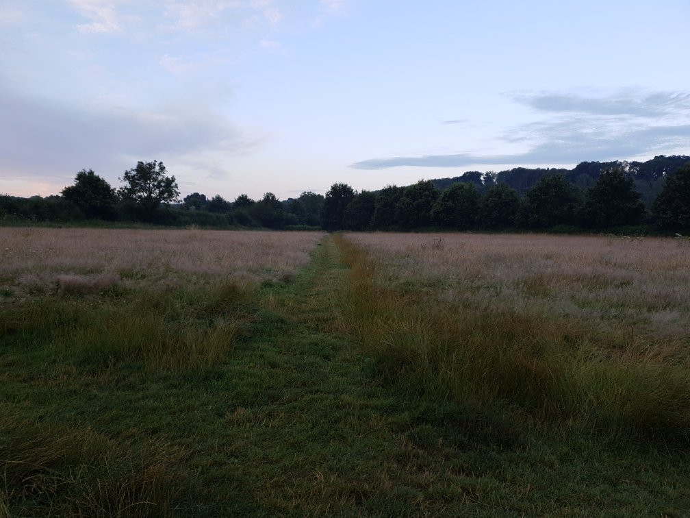 Chesworth Farm景点图片
